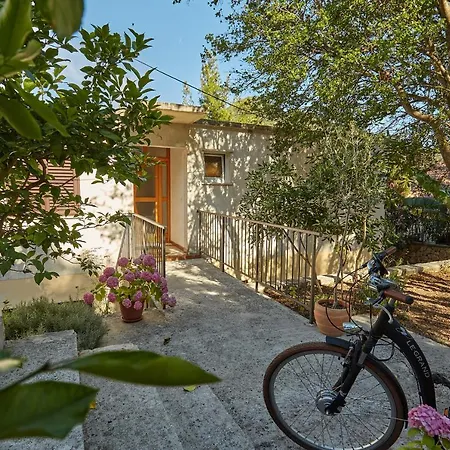 Apartment Mljet 4 - Seafront Sobra